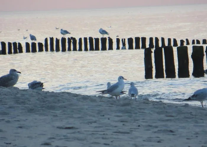 Lighthouse Апартаменты *