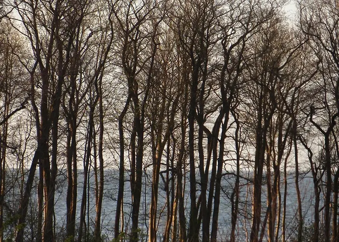 Lighthouse * Гонски